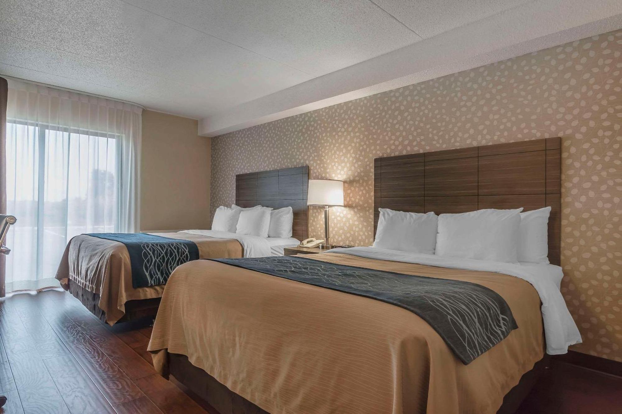 Comfort Inn Lévis Exteriér fotografie