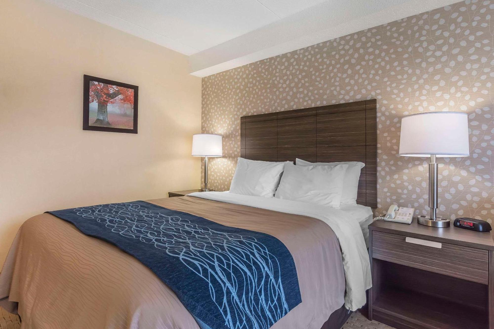 Comfort Inn Lévis Exteriér fotografie