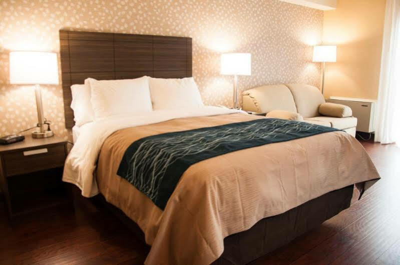 Comfort Inn Lévis Exteriér fotografie