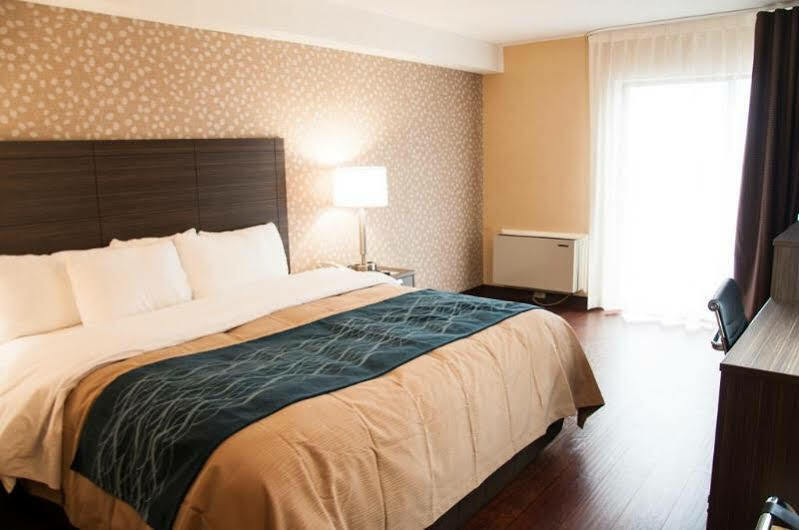 Comfort Inn Lévis Exteriér fotografie